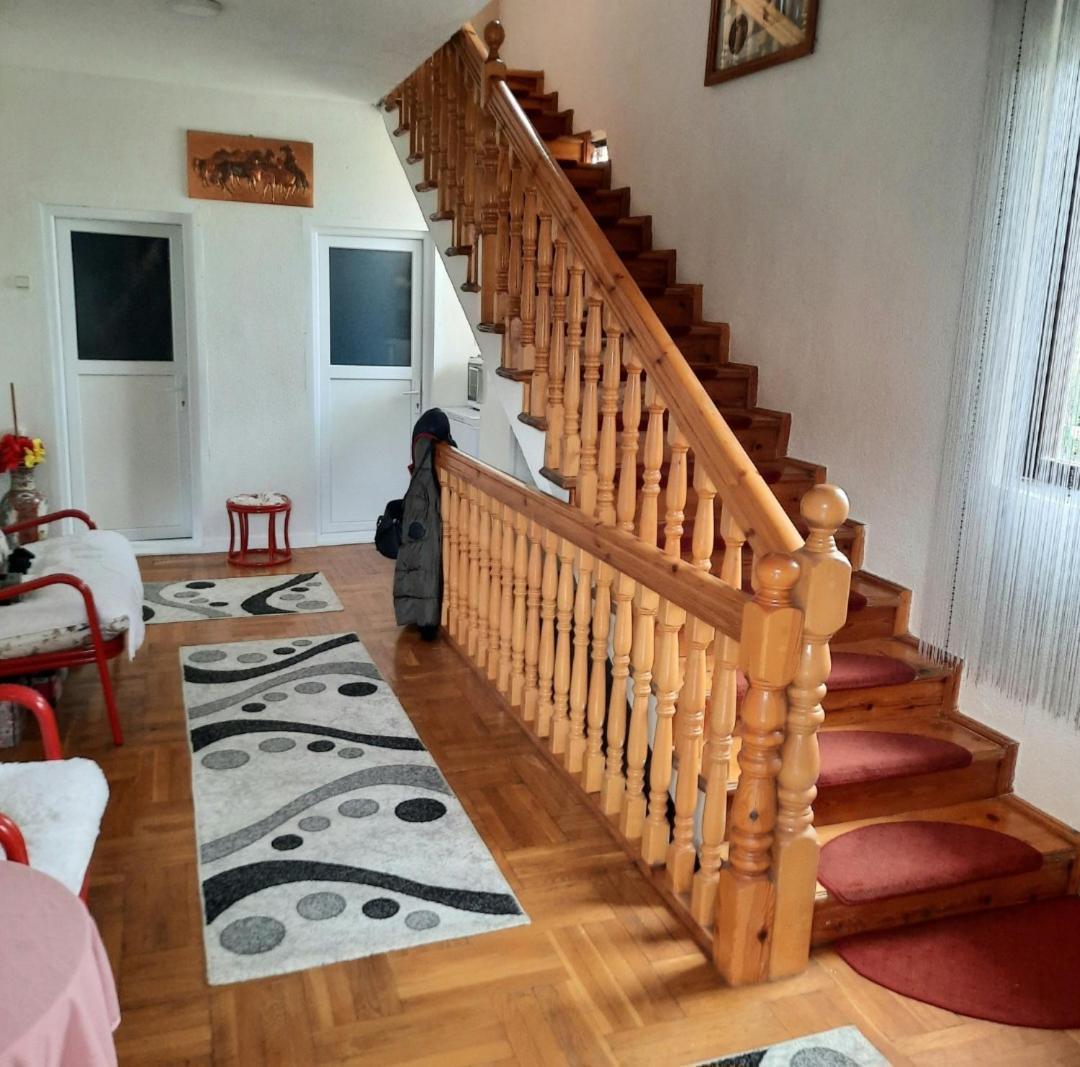 Travel Hostel - 400M From Bus Station Печ Екстериор снимка